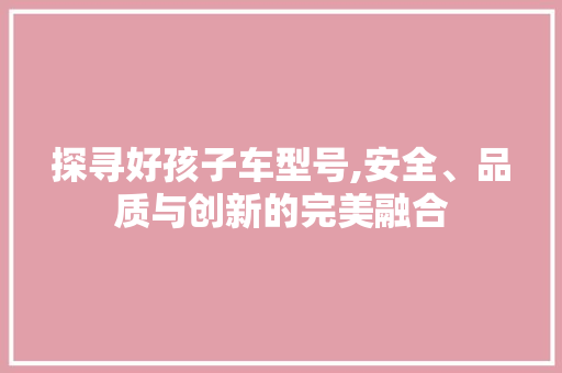 探寻好孩子车型号,安全、品质与创新的完美融合