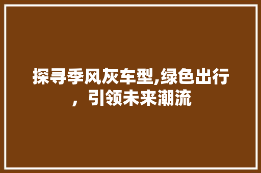探寻季风灰车型,绿色出行，引领未来潮流
