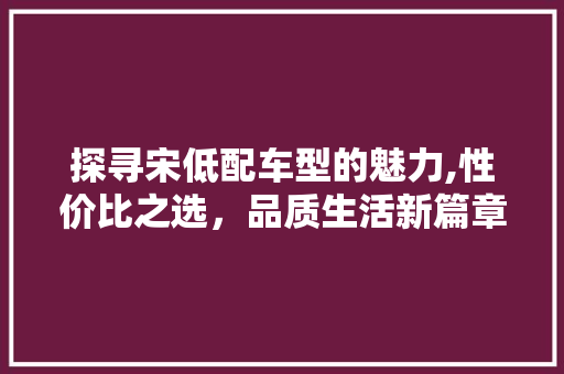 探寻宋低配车型的魅力,性价比之选，品质生活新篇章