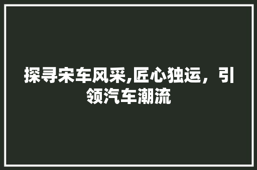 探寻宋车风采,匠心独运，引领汽车潮流