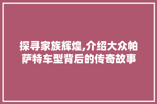 探寻家族辉煌,介绍大众帕萨特车型背后的传奇故事