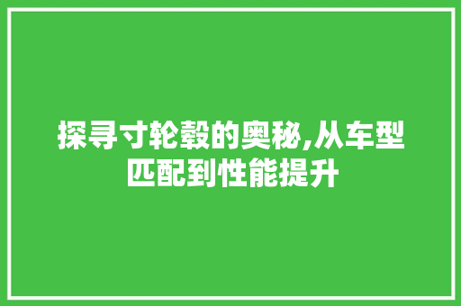 探寻寸轮毂的奥秘,从车型匹配到性能提升
