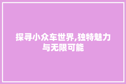 探寻小众车世界,独特魅力与无限可能