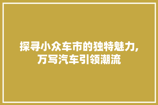探寻小众车市的独特魅力,万写汽车引领潮流