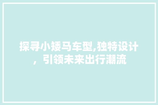 探寻小矮马车型,独特设计，引领未来出行潮流