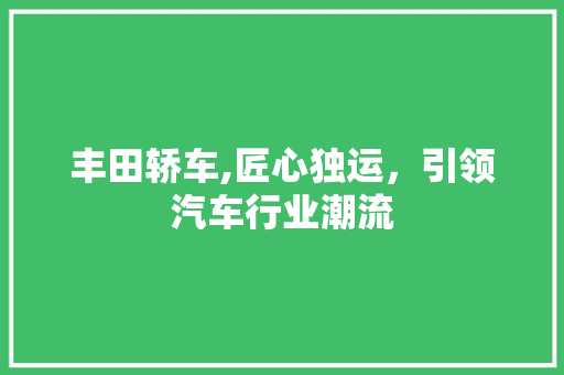 丰田轿车,匠心独运，引领汽车行业潮流