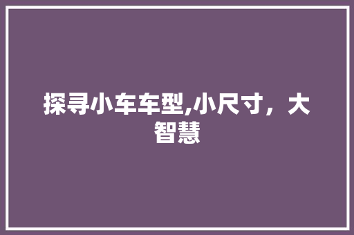 探寻小车车型,小尺寸，大智慧