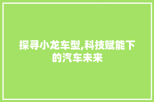 探寻小龙车型,科技赋能下的汽车未来 发动机配件