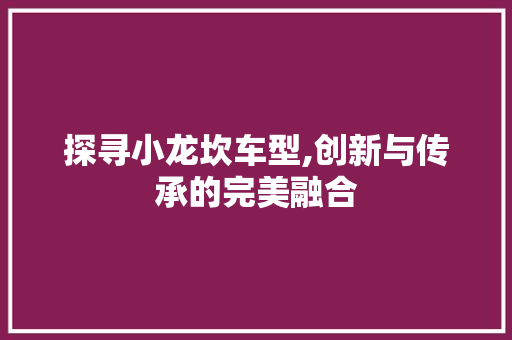 探寻小龙坎车型,创新与传承的完美融合