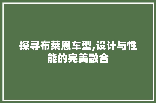 探寻布莱恩车型,设计与性能的完美融合 车身配件