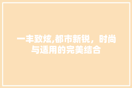 一丰致炫,都市新锐，时尚与适用的完美结合