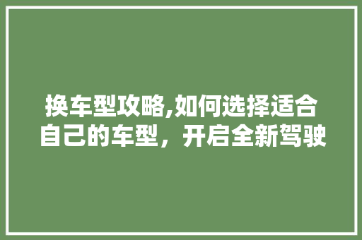 换车型攻略,如何选择适合自己的车型，开启全新驾驶体验