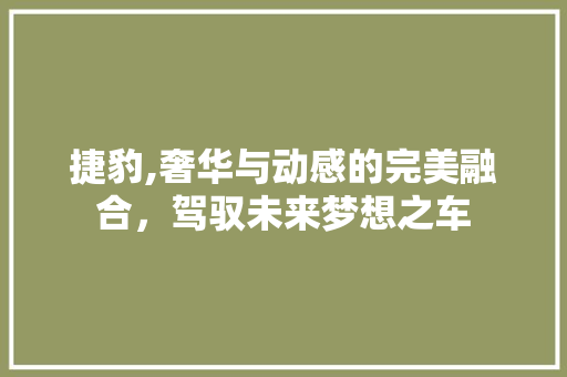 捷豹,奢华与动感的完美融合，驾驭未来梦想之车