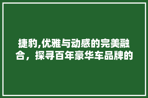 捷豹,优雅与动感的完美融合，探寻百年豪华车品牌的传奇历程