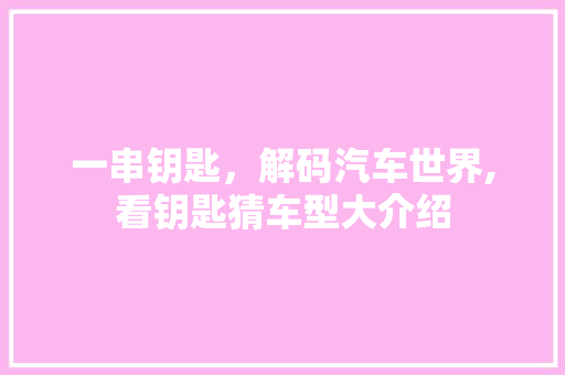 一串钥匙，解码汽车世界,看钥匙猜车型大介绍