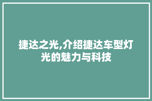 捷达之光,介绍捷达车型灯光的魅力与科技 汽车配件