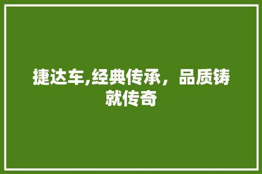 捷达车,经典传承，品质铸就传奇
