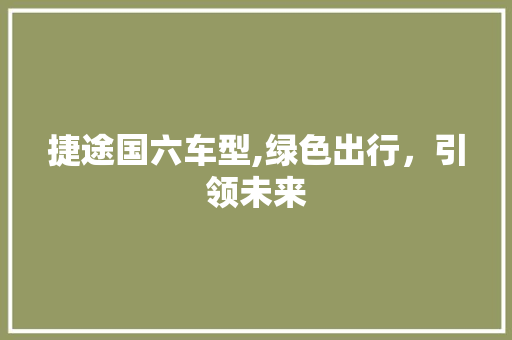 捷途国六车型,绿色出行，引领未来
