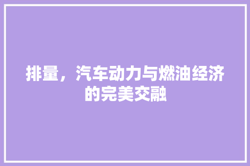 排量，汽车动力与燃油经济的完美交融 新款车型