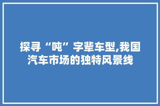 探寻“吨”字辈车型,我国汽车市场的独特风景线