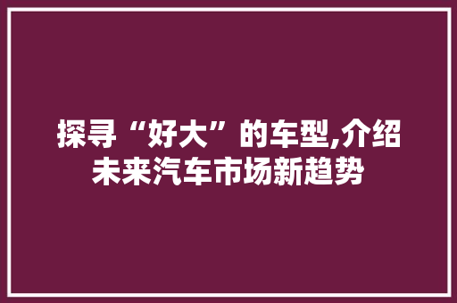 探寻“好大”的车型,介绍未来汽车市场新趋势