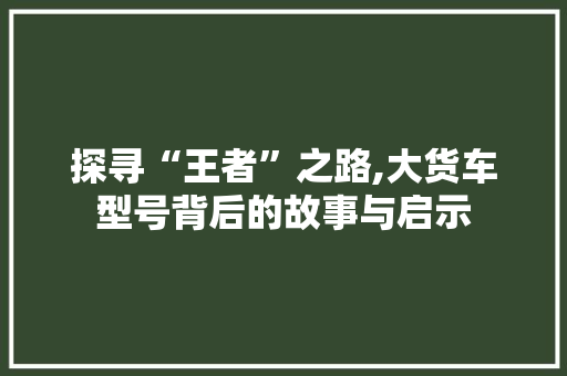 探寻“王者”之路,大货车型号背后的故事与启示