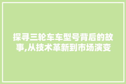探寻三轮车车型号背后的故事,从技术革新到市场演变