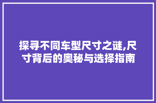 探寻不同车型尺寸之谜,尺寸背后的奥秘与选择指南