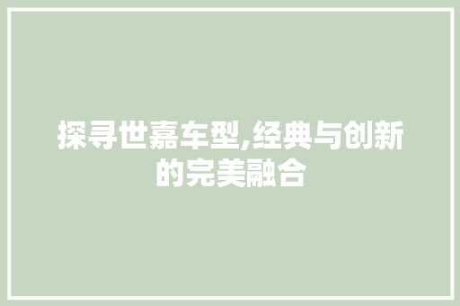 探寻世嘉车型,经典与创新的完美融合