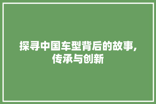 探寻中国车型背后的故事,传承与创新