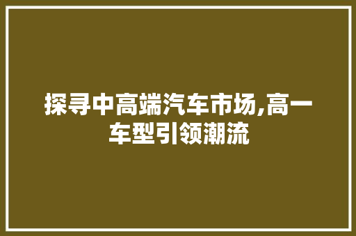 探寻中高端汽车市场,高一车型引领潮流