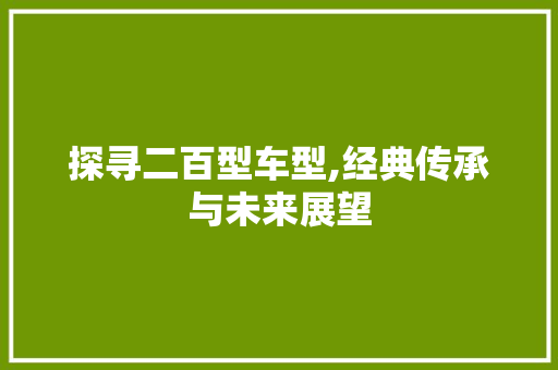 探寻二百型车型,经典传承与未来展望
