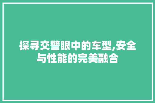 探寻交警眼中的车型,安全与性能的完美融合