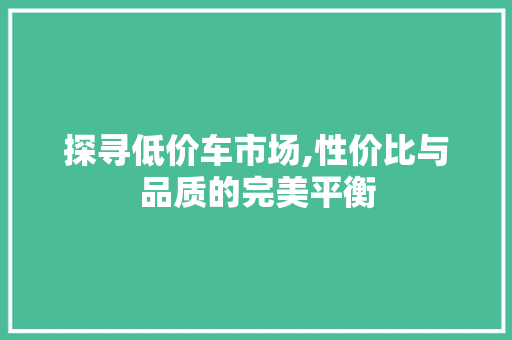 探寻低价车市场,性价比与品质的完美平衡