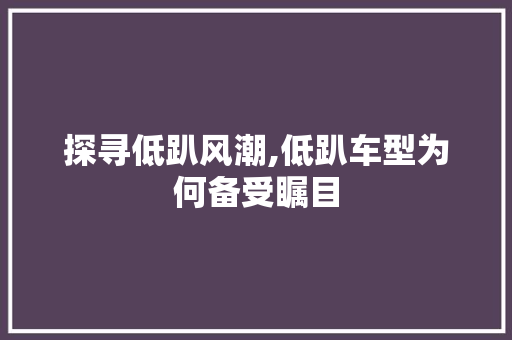 探寻低趴风潮,低趴车型为何备受瞩目