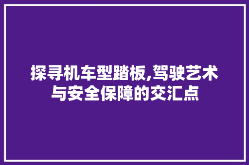 探寻机车型踏板,驾驶艺术与安全保障的交汇点