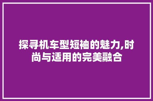探寻机车型短袖的魅力,时尚与适用的完美融合 车身配件