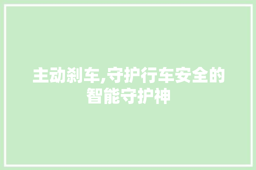主动刹车,守护行车安全的智能守护神