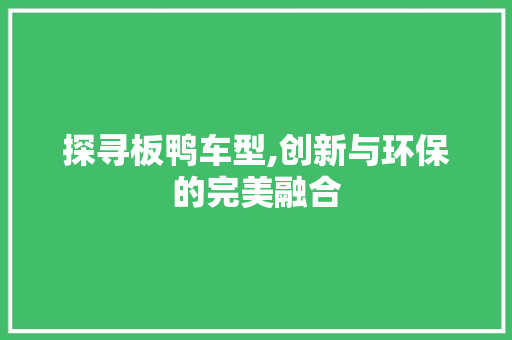 探寻板鸭车型,创新与环保的完美融合