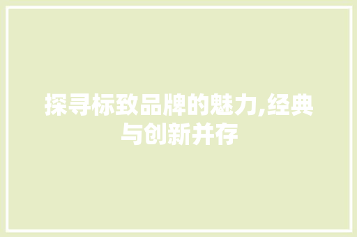 探寻标致品牌的魅力,经典与创新并存 底盘配件