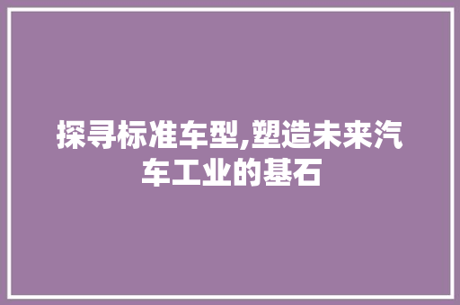 探寻标准车型,塑造未来汽车工业的基石
