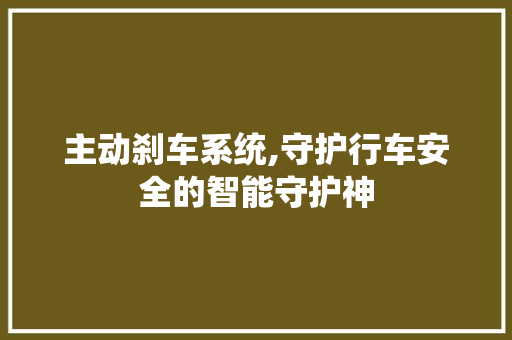 主动刹车系统,守护行车安全的智能守护神
