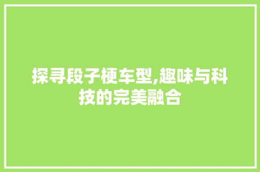 探寻段子梗车型,趣味与科技的完美融合