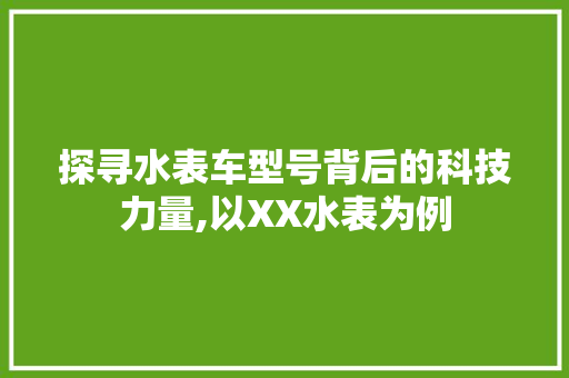 探寻水表车型号背后的科技力量,以XX水表为例