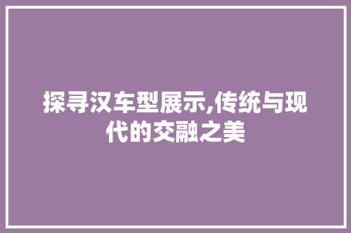 探寻汉车型展示,传统与现代的交融之美