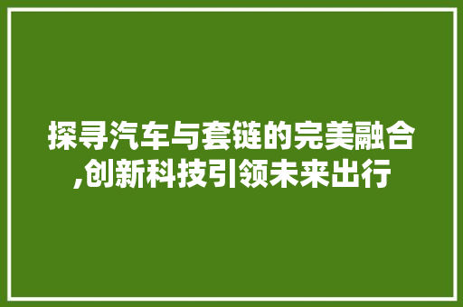 探寻汽车与套链的完美融合,创新科技引领未来出行