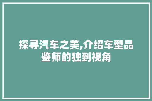 探寻汽车之美,介绍车型品鉴师的独到视角 汽车配件
