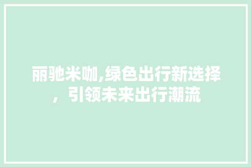 丽驰米咖,绿色出行新选择，引领未来出行潮流