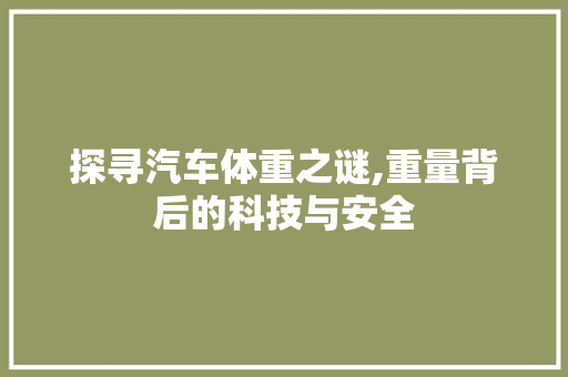 探寻汽车体重之谜,重量背后的科技与安全 新款车型