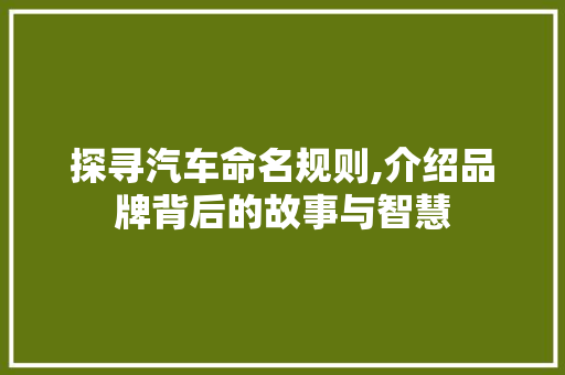 探寻汽车命名规则,介绍品牌背后的故事与智慧